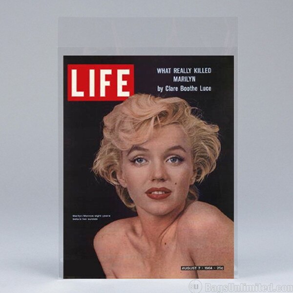 POLYESTER (Mylar) Sleeve for Large